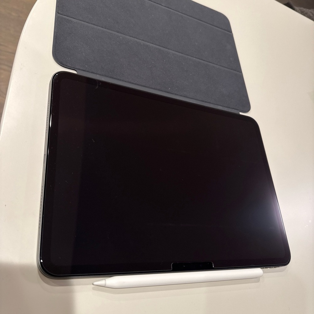 APPLE IPAD PRO 11 inch space gray 256 gb